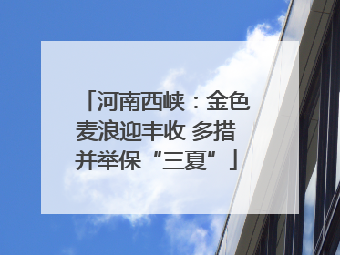 河南西峡：金色麦浪迎丰收 多措并举保“三夏”