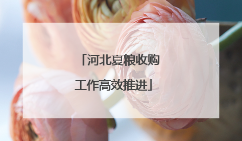 河北夏粮收购工作高效推进