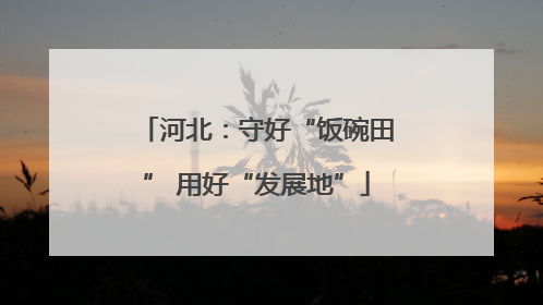 河北：守好“饭碗田” 用好“发展地”