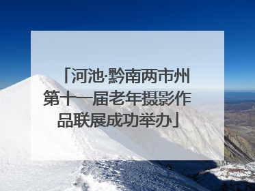 河池·黔南两市州第十一届老年摄影作品联展成功举办