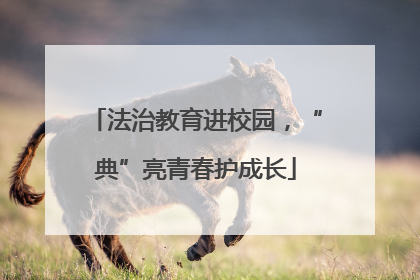 法治教育进校园，“典”亮青春护成长