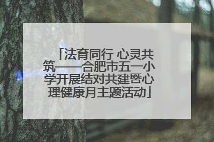 法育同行 心灵共筑——合肥市五一小学开展结对共建暨心理健康月主题活动
