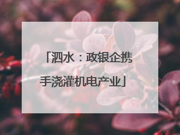泗水：政银企携手浇灌机电产业