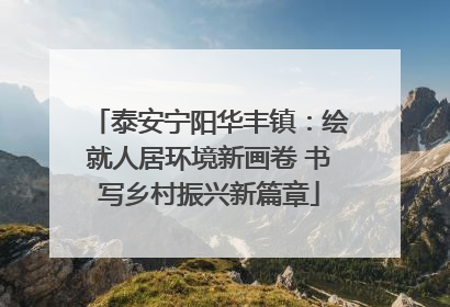 泰安宁阳华丰镇：绘就人居环境新画卷 书写乡村振兴新篇章