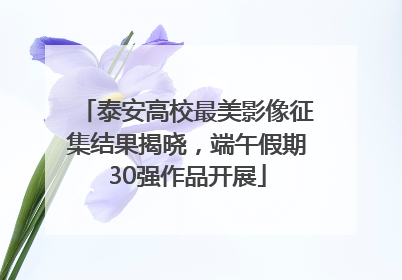 泰安高校最美影像征集结果揭晓，端午假期30强作品开展