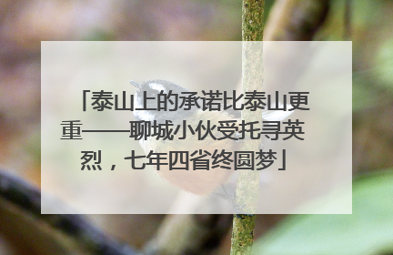 泰山上的承诺比泰山更重——聊城小伙受托寻英烈，七年四省终圆梦