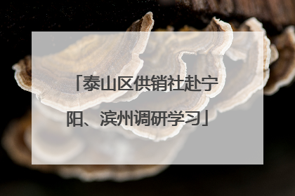 泰山区供销社赴宁阳、滨州调研学习