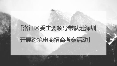 洛江区委主要领导带队赴深圳开展跨境电商招商考察活动
