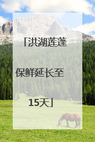 洪湖莲蓬保鲜延长至15天