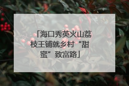 海口秀英火山荔枝王铺就乡村“甜蜜”致富路