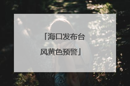 海口发布台风黄色预警