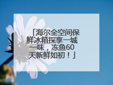 海尔全空间保鲜冰箱探享一城一味，冻鱼60天新鲜如初！
