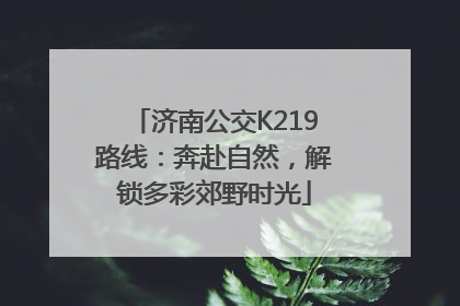 济南公交K219路线：奔赴自然，解锁多彩郊野时光