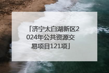 济宁太白湖新区2024年公共资源交易项目121项