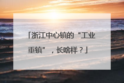 浙江中心镇的“工业重镇”，长啥样？