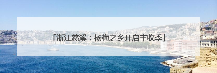 浙江慈溪：杨梅之乡开启丰收季