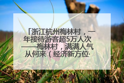 浙江杭州梅林村，一年接待游客超5万人次——梅林村，满满人气从何来（经济新方位·农村消费观察）