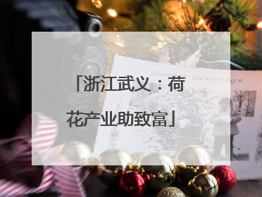 浙江武义：荷花产业助致富