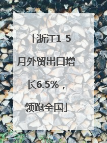 浙江1-5月外贸出口增长6.5%，领跑全国