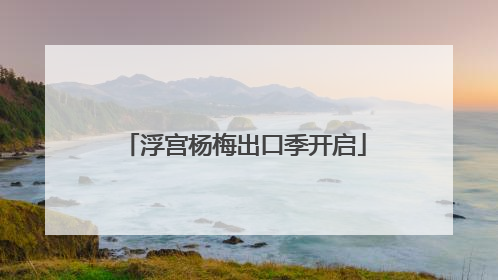 浮宫杨梅出口季开启