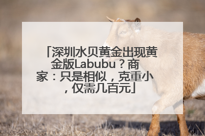 深圳水贝黄金出现黄金版Labubu？商家：只是相似，克重小，仅需几百元