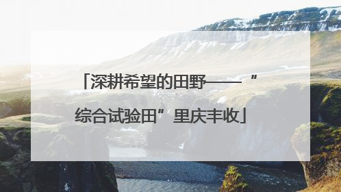 深耕希望的田野——“综合试验田”里庆丰收