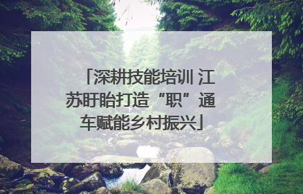 深耕技能培训 江苏盱眙打造“职”通车赋能乡村振兴