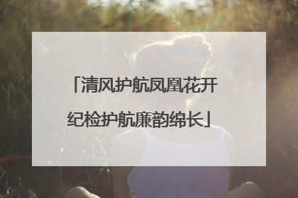 清风护航凤凰花开 纪检护航廉韵绵长