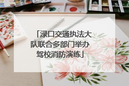 渌口交通执法大队联合多部门举办驾校消防演练