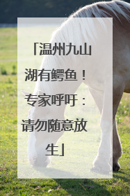 温州九山湖有鳄鱼！专家呼吁：请勿随意放生