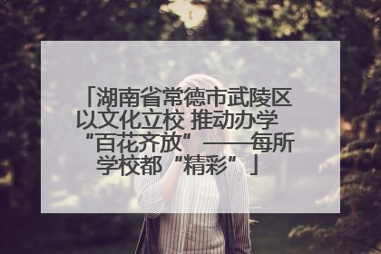 湖南省常德市武陵区以文化立校 推动办学“百花齐放”——每所学校都“精彩”