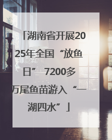 湖南省开展2025年全国“放鱼日” 7200多万尾鱼苗游入“一湖四水”