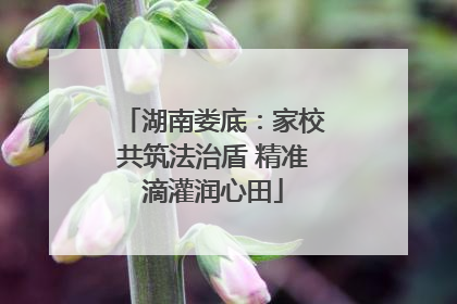 湖南娄底：家校共筑法治盾 精准滴灌润心田