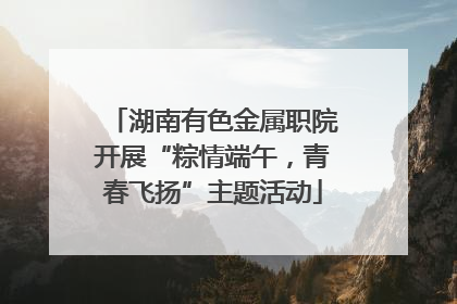 湖南有色金属职院开展“粽情端午，青春飞扬”主题活动