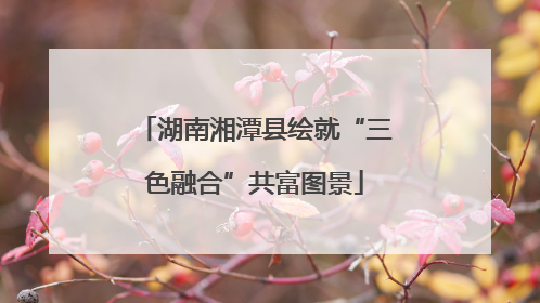湖南湘潭县绘就“三色融合”共富图景