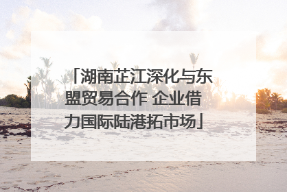 湖南芷江深化与东盟贸易合作 企业借力国际陆港拓市场