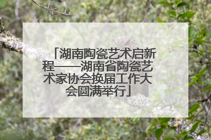 湖南陶瓷艺术启新程——湖南省陶瓷艺术家协会换届工作大会圆满举行