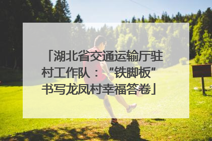 湖北省交通运输厅驻村工作队：“铁脚板”书写龙凤村幸福答卷