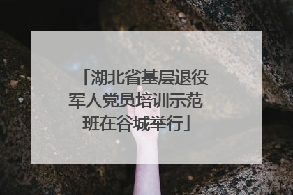 湖北省基层退役军人党员培训示范班在谷城举行