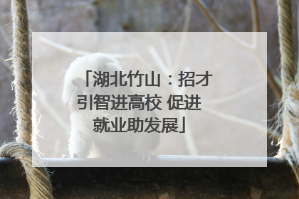 湖北竹山：招才引智进高校 促进就业助发展