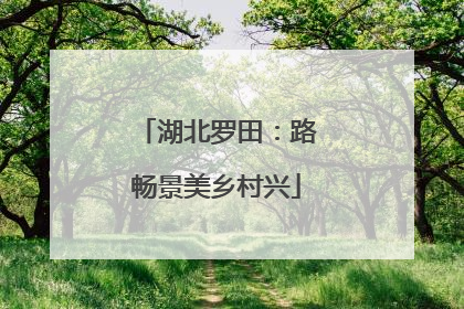 湖北罗田：路畅景美乡村兴
