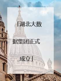湖北大数据集团正式成立
