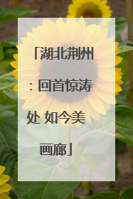 湖北荆州：回首惊涛处 如今美画廊