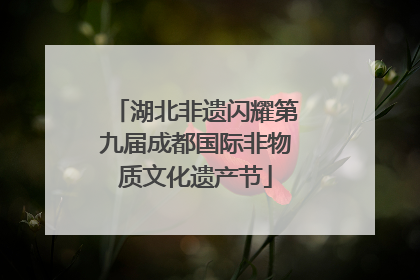 湖北非遗闪耀第九届成都国际非物质文化遗产节