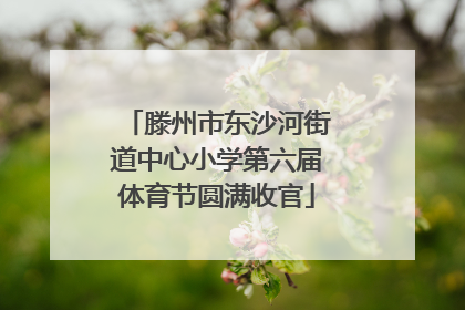 滕州市东沙河街道中心小学第六届体育节圆满收官