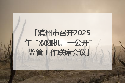 滨州市召开2025年“双随机、一公开” 监管工作联席会议