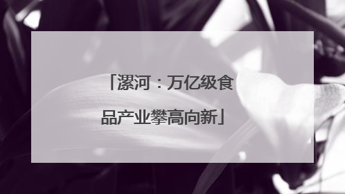 漯河：万亿级食品产业攀高向新