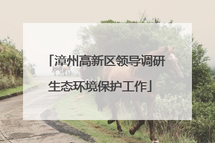 漳州高新区领导调研生态环境保护工作