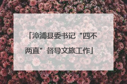 漳浦县委书记“四不两直”督导文旅工作