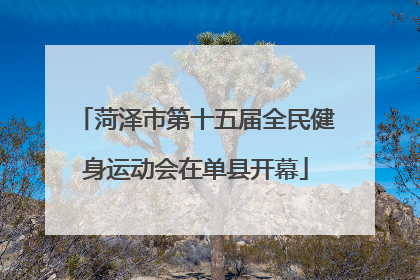 菏泽市第十五届全民健身运动会在单县开幕